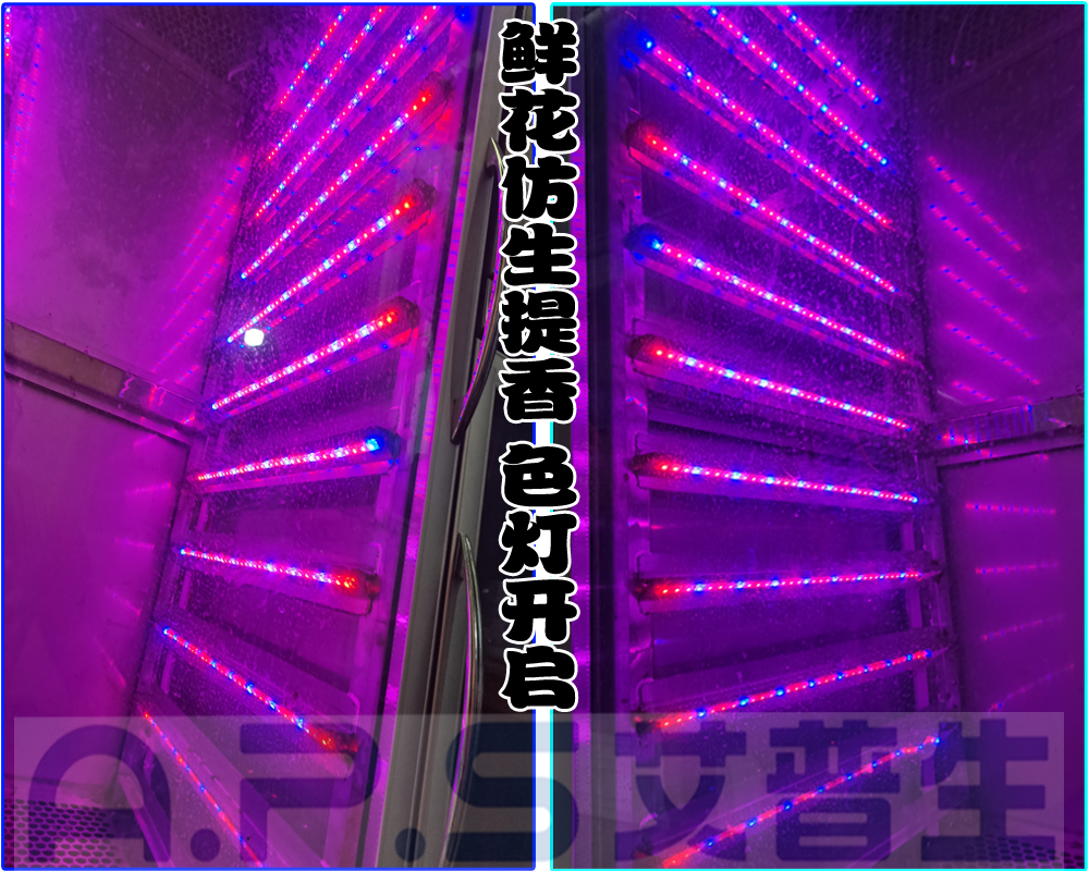 12、植物鮮花低溫萃取精華液專用設(shè)備=鮮花提香色燈開啟.jpg